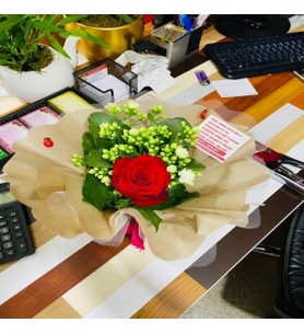 Saksı Çiçeği Kalonchoe ve 1 Adet Gül